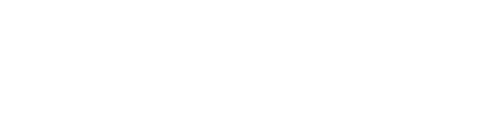 Solani Group